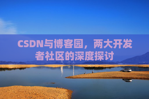 CSDN与博客园，两大开发者社区的深度探讨